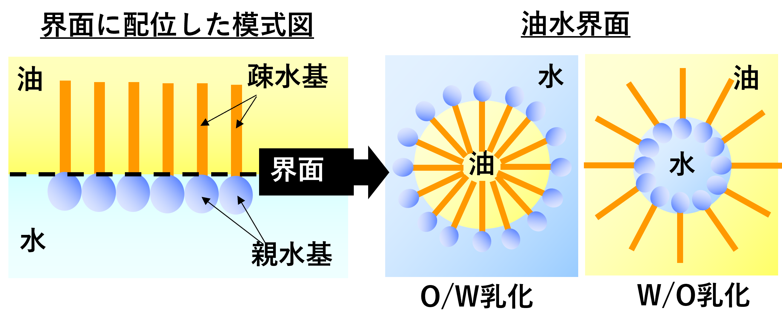 界面に配置した模式図