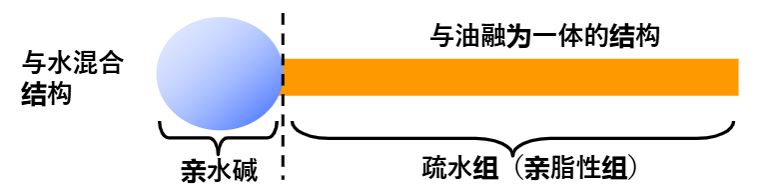 乳化剤の構造