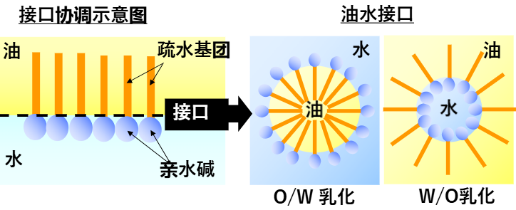 界面に配置した模式図