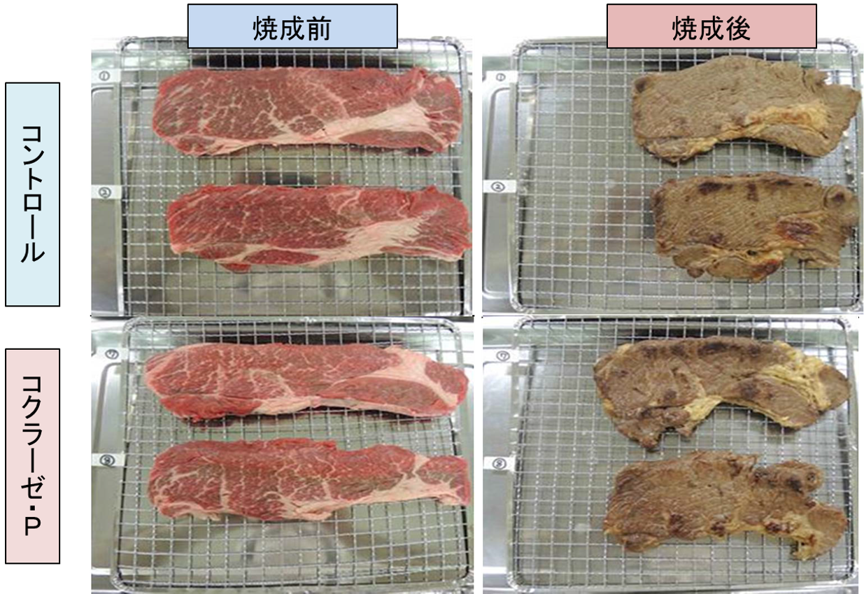 コクラーゼP顆粒による牛肉軟化効果