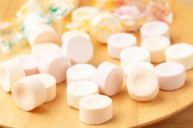 錠菓・粉末食品