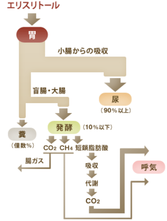 エリスリトールの体内動態図