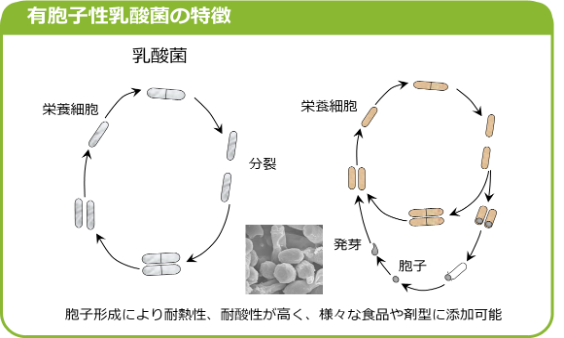 特徴｜フード・ヘルスケア事業部サイト