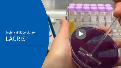 Technical Video Library - Spore-Forming Probiotic