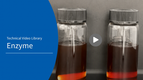 Technical Video Library - Enzyme